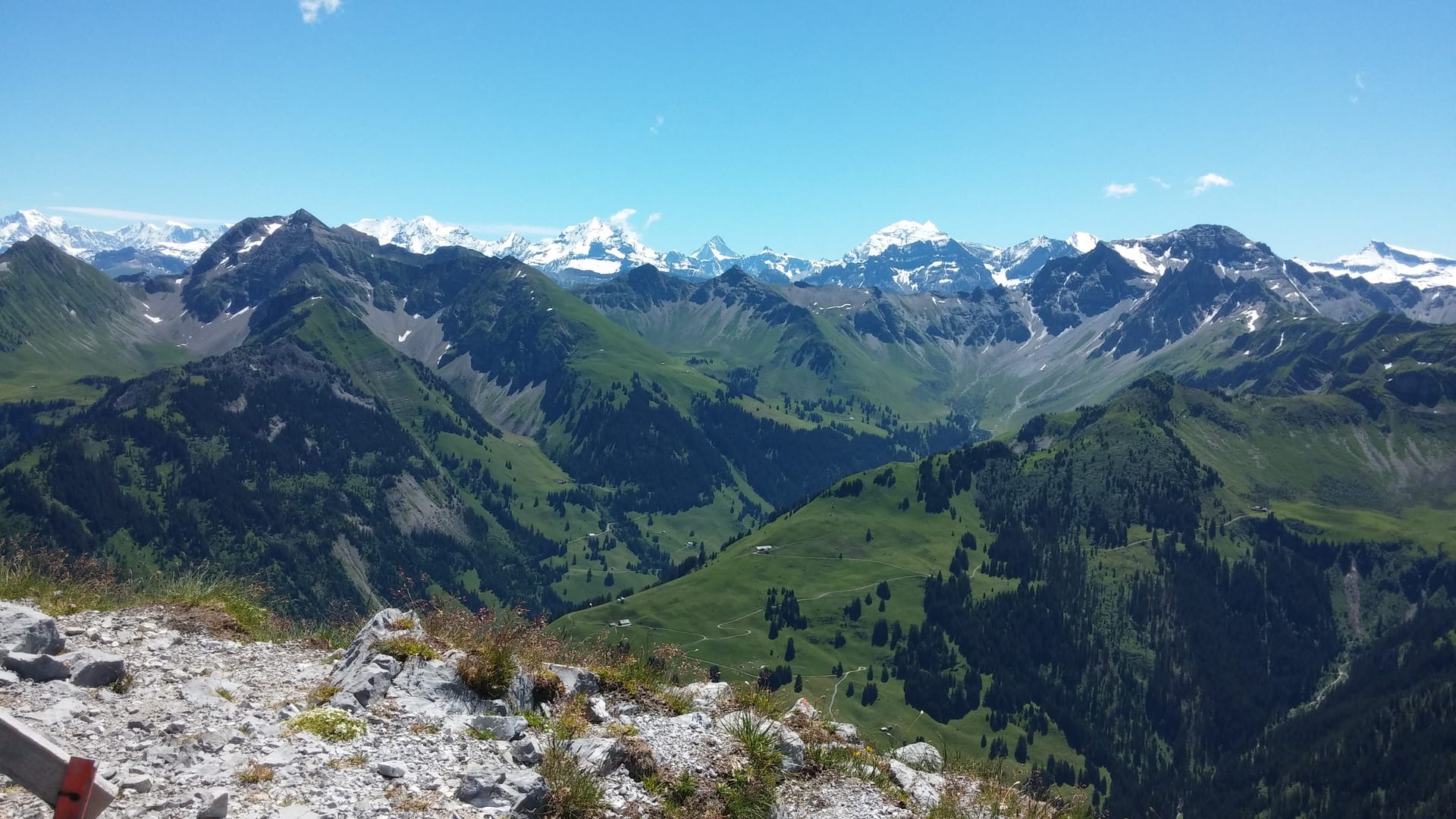 Blick von der Seehore (2281 m) auf die Berner 4000er und einen Walliser Gipfel (Bildmitte)