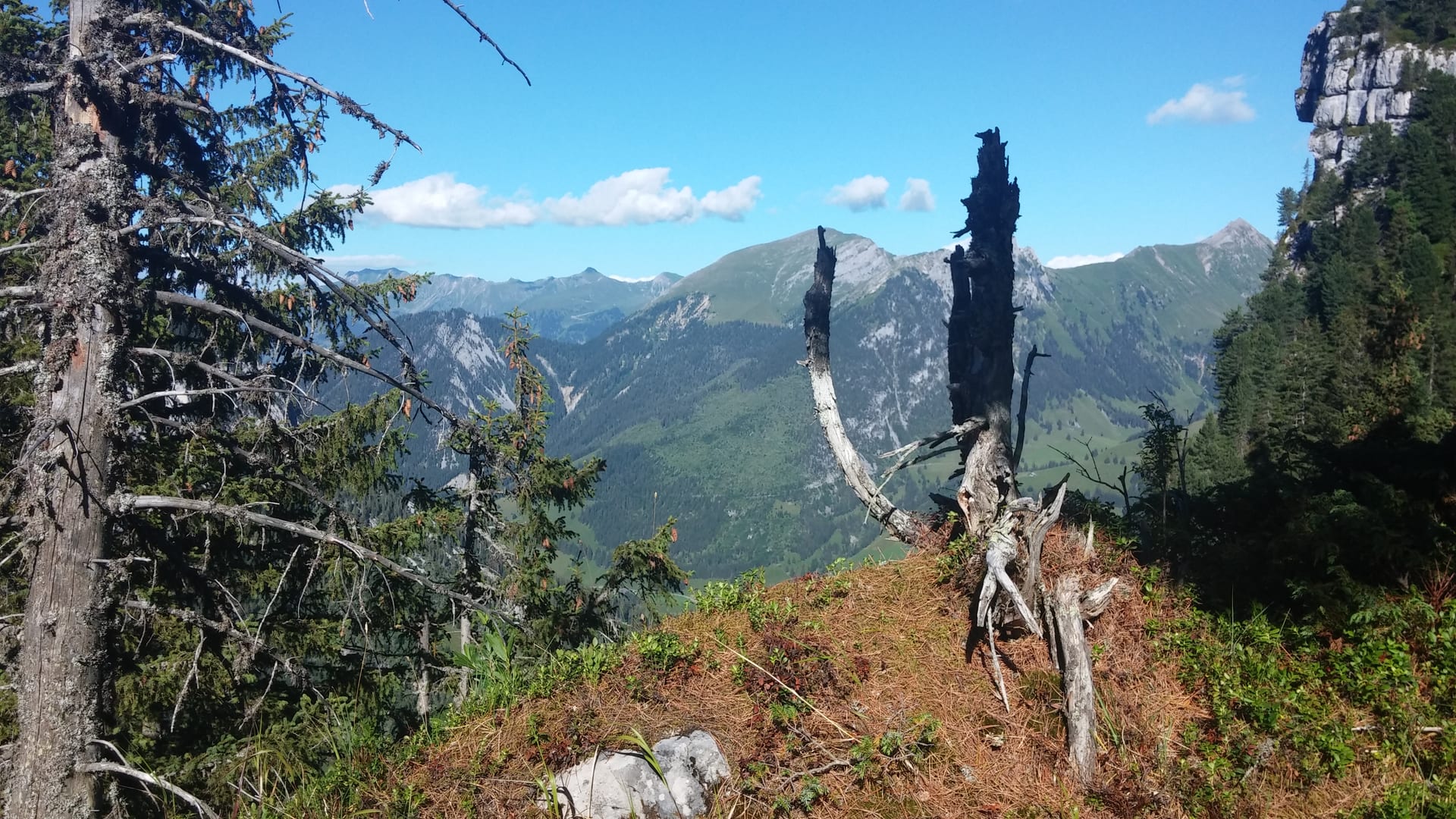 Unter der Girehore, Blick aufs Wiriehorn von Westen